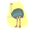Ostrich 10