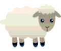 Sheep cute