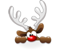 Funny Reindeer