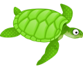 Cartoon turtle 2