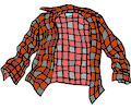 Shirt - Flannel