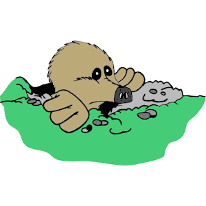 Mole in Ground