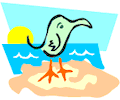 Bird - Beach