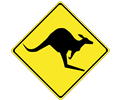 Warning kangaroos ahead
