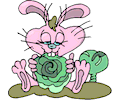 Rabbit Eating Cabbage