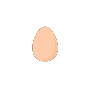 Oeuf / egg