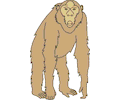 Monkey 04