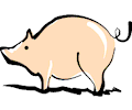 Pig 05