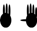CountingHands-eight.svg