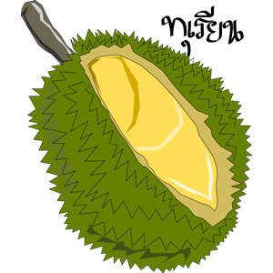 Durian,Thai Fruit