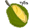 Durian,Thai Fruit