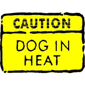 Caution Dog in Heat
