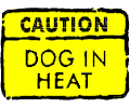 Caution Dog in Heat