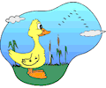 Duck 026