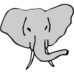 Elephant - Head 1