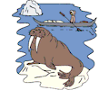 Walrus Eskimo