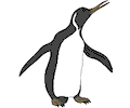 Penguin 07