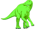 Dinornis 7