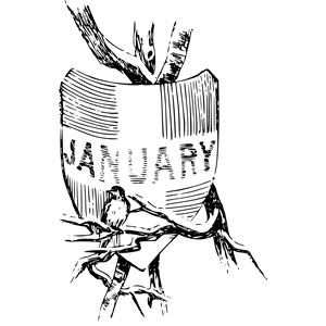 Illustrated months (January)