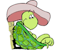 Turtle In Sombrero