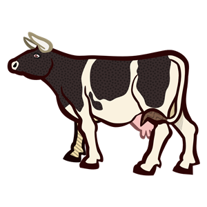 cow2 - coloured