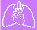 Heart Lungs