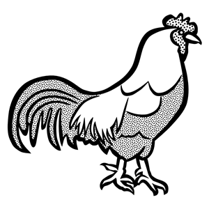 cock - lineart