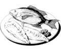 Fish - Whole & Filet