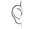 Ear 6