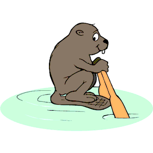 Beaver Rowing