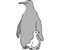 Architetto -- pinguino col piccolo