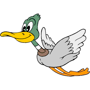 Duck 023