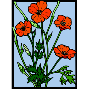 Coloured Poppy stained glass