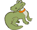 Alligator 14