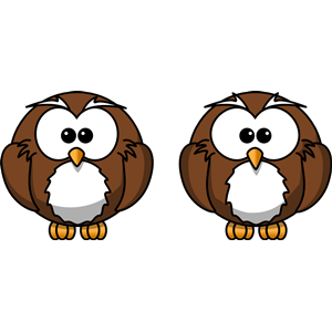 Cartoon owl - spot the 10 differences