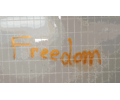 Freedom Graffiti Writing