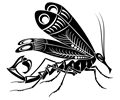 Mosquito Scorpion