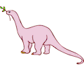 Dinornis 20