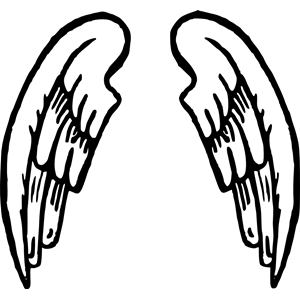 Angel wings 2