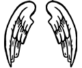 Angel wings 2