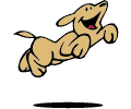 Dog Leaping