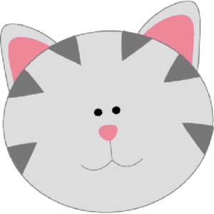 Gray kitty cat face
