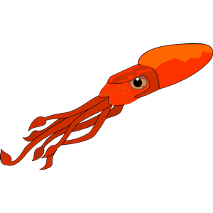 squid 01