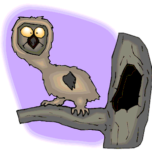 Owl Surprised