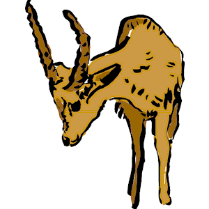Antelope 03