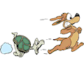 Turtle Angrily Chasing Dog