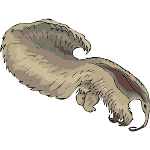 Anteater 6