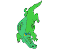 Alligator 17