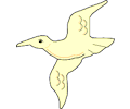 Seagull 08