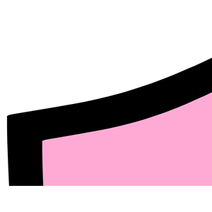 Pink And Black Shield